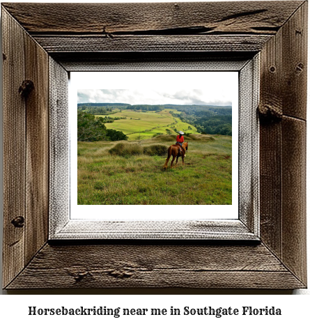 horseback riding near me in Southgate, Florida